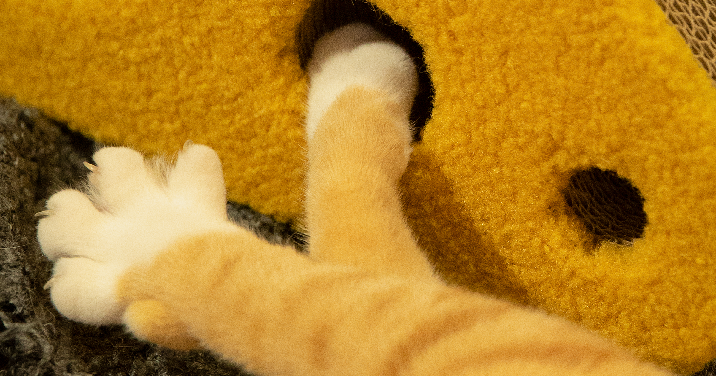 Close-up of a premium yellow cat play structure with multiple circular openings for mental stimulation, showing how cats can hunt and swat through the durable, plush-covered holes.
