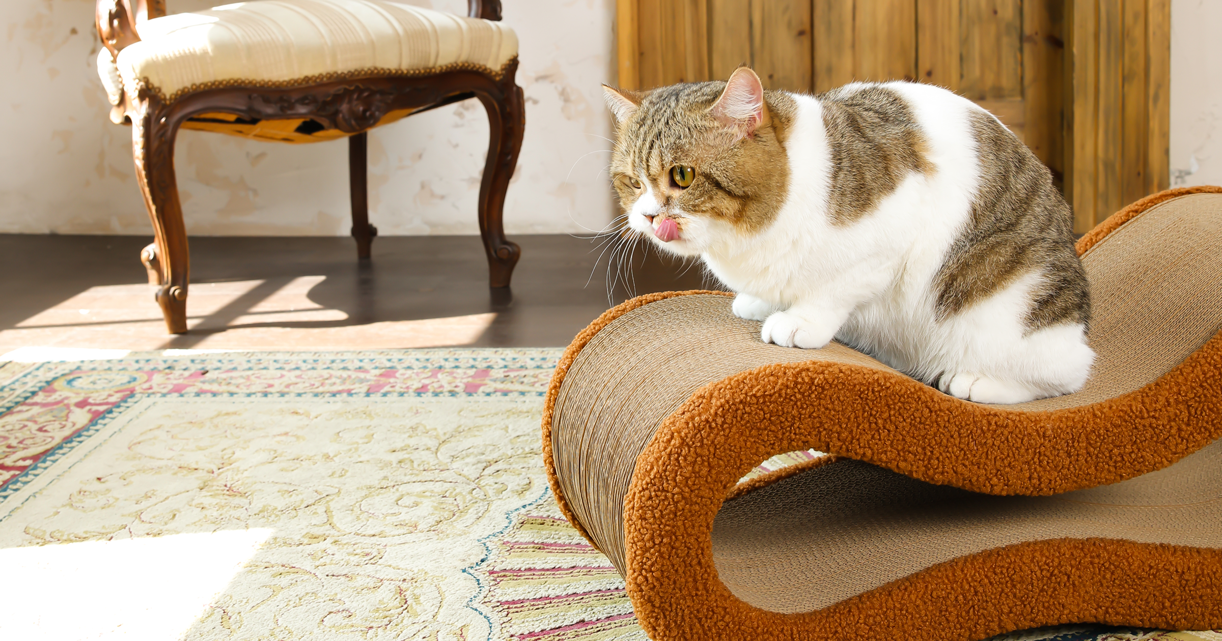 Modern brown cat lounge and scratcher with a premium fuzzy trim, styled in a bright living room to highlight its furniture-grade aesthetic and durable cardboard texture.