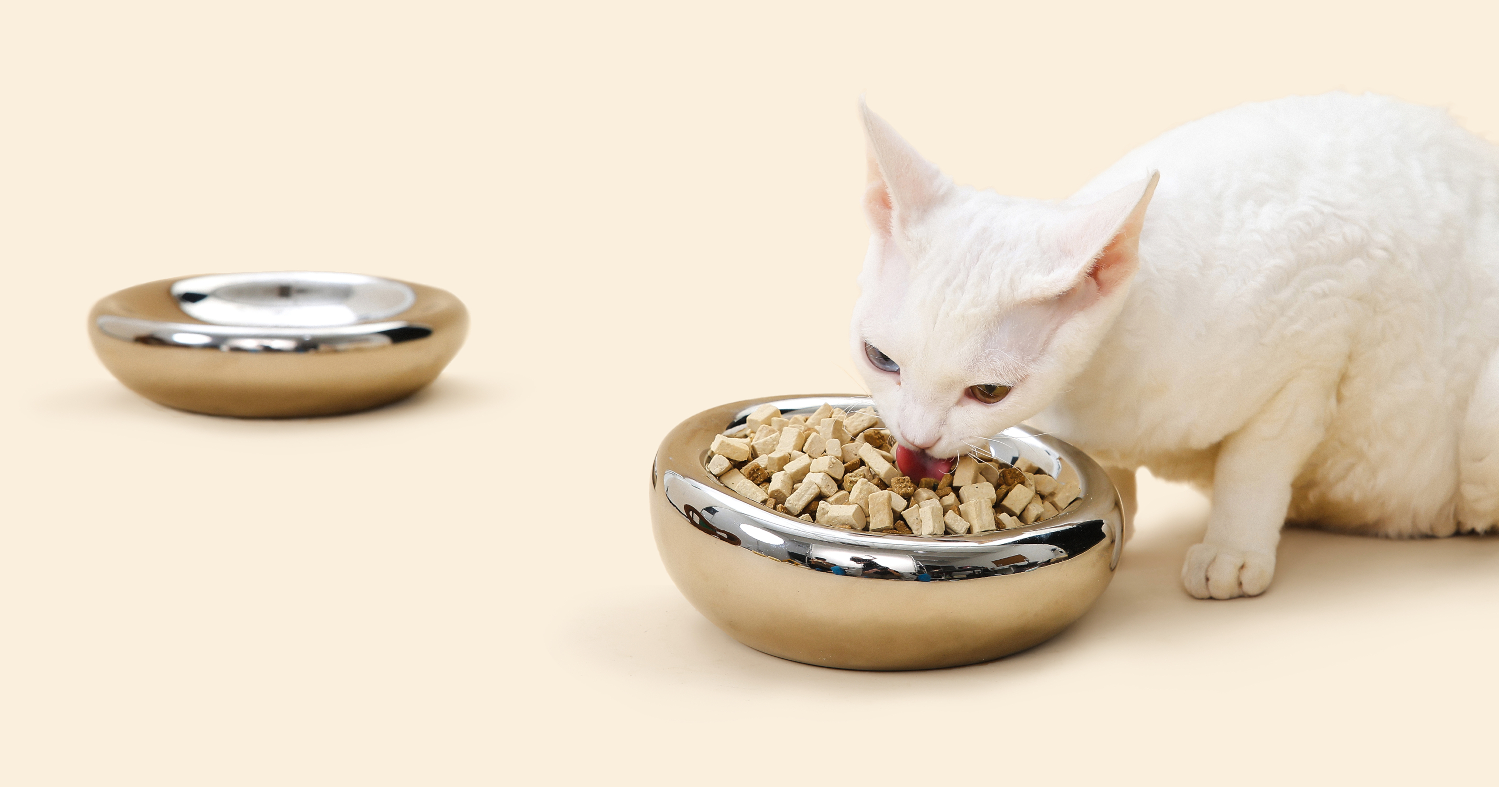 White cat eating dry food from a Pet Jojo Pebble pet bowl with a chrome finish, featuring a modern ergonomic design for comfortable pet feeding, with a matching flat bowl in the background.