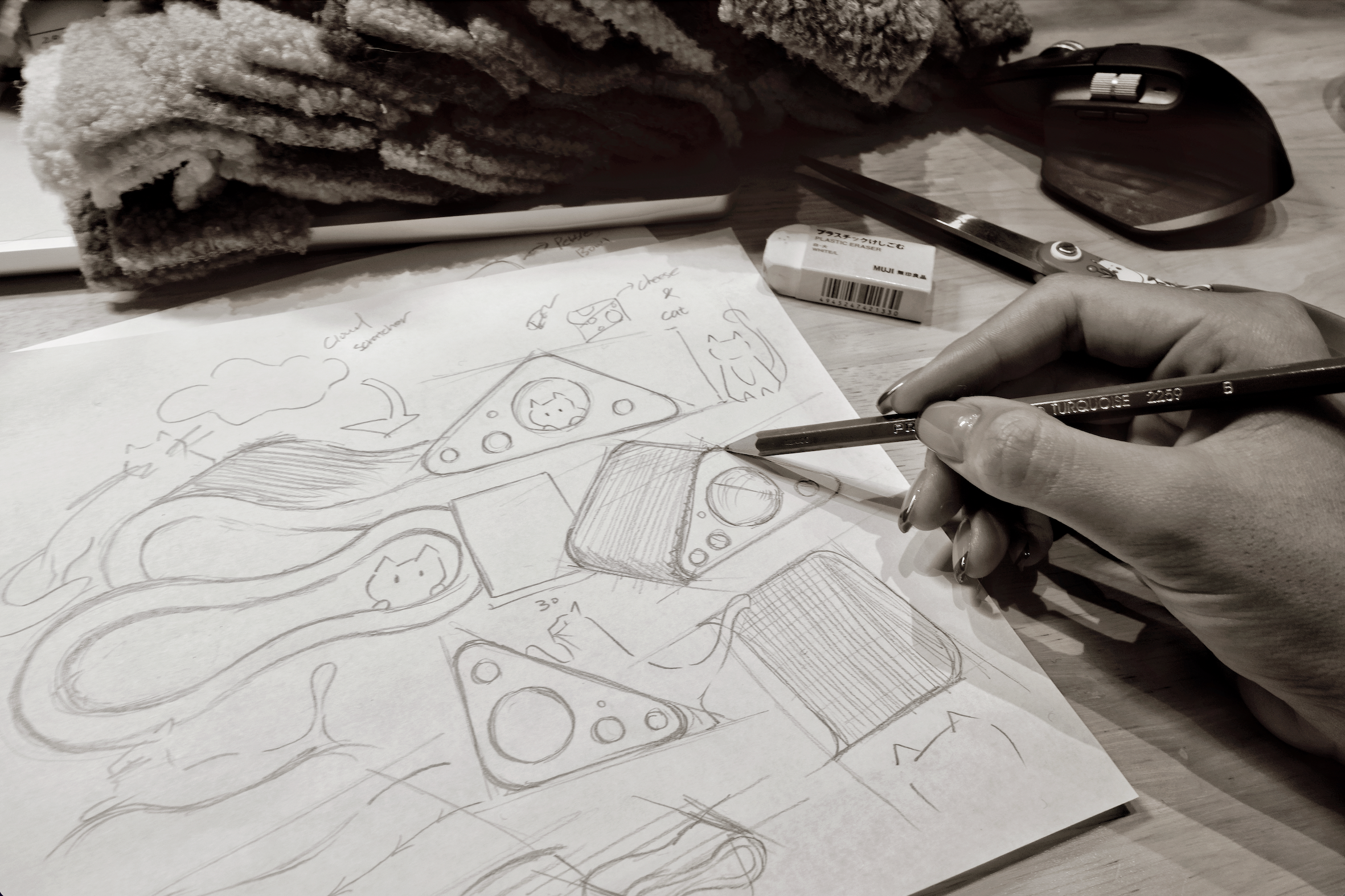 The Pet JoJo Launch: Designer-Crafted Pet Furniture for Modern Homes