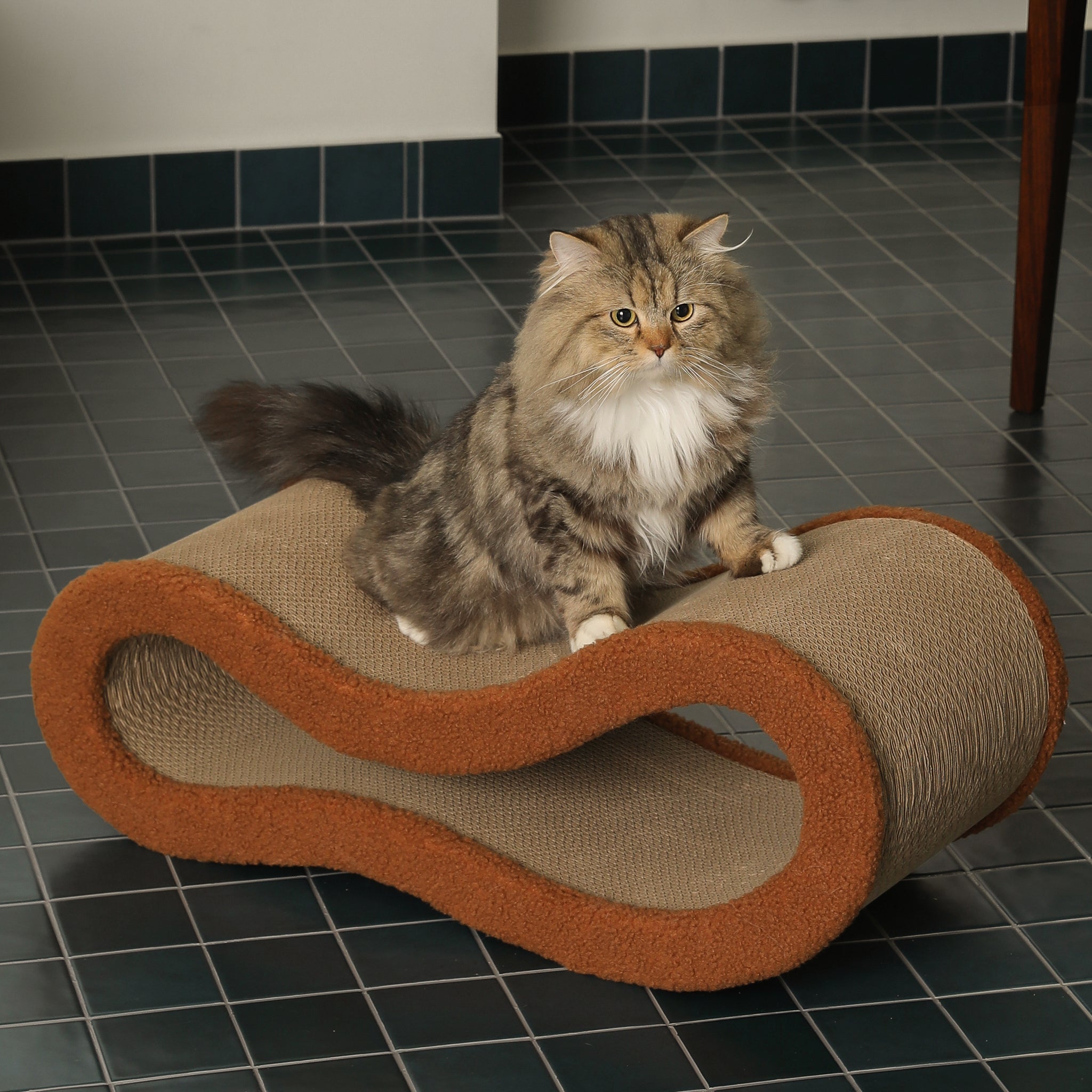 Cloud Lounge Cat Scratcher - Pet JoJo