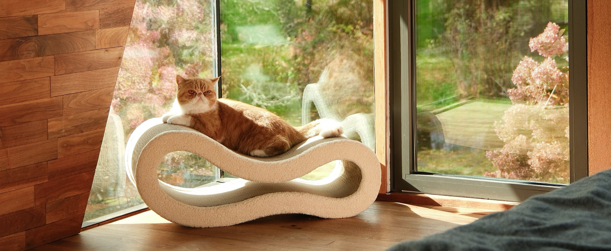 Cloud lounge cat scratcher placed by a window with a cat relaxing on top