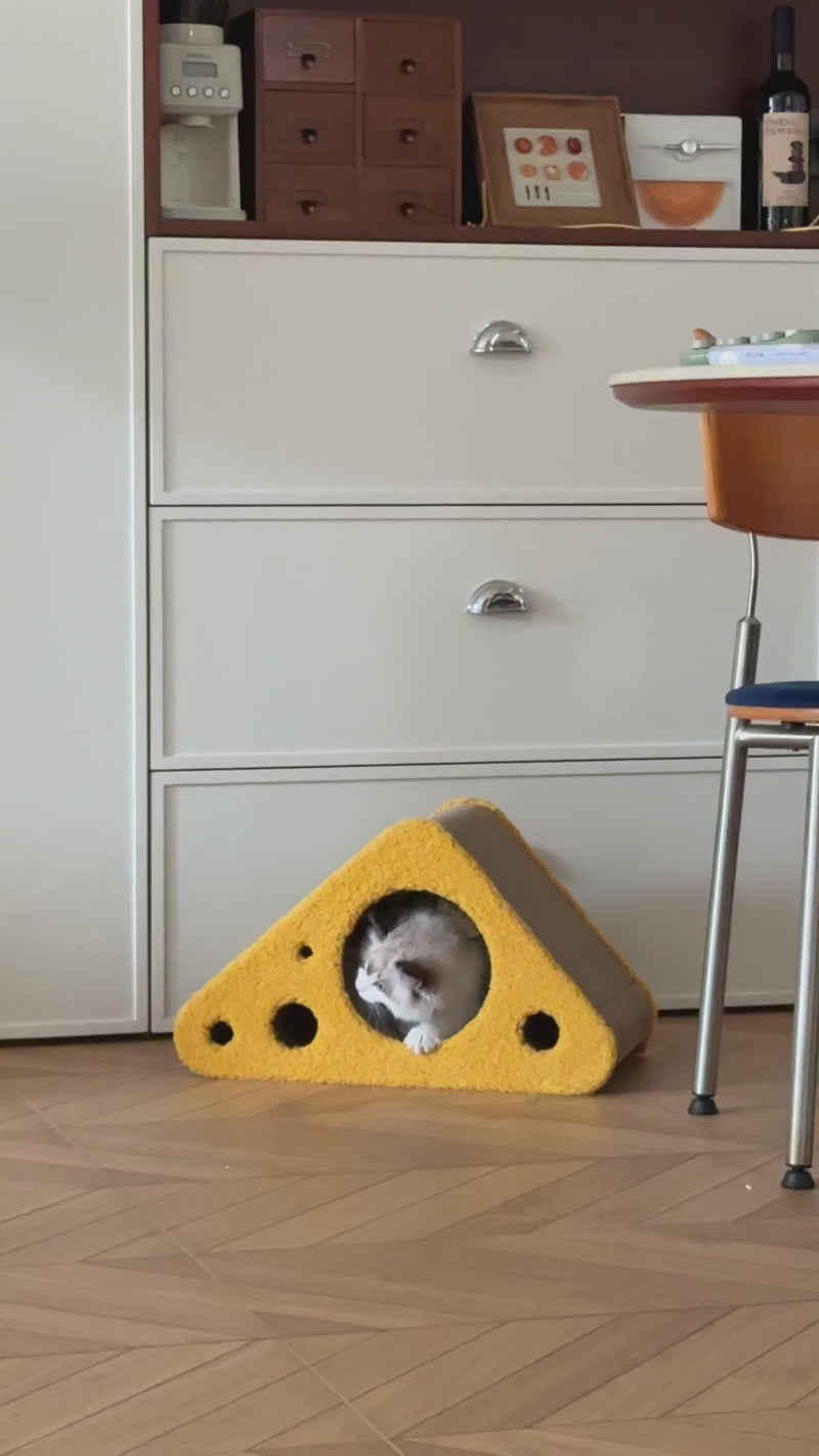A cute kitty playing with the Pet JoJo cheese scratcher. 